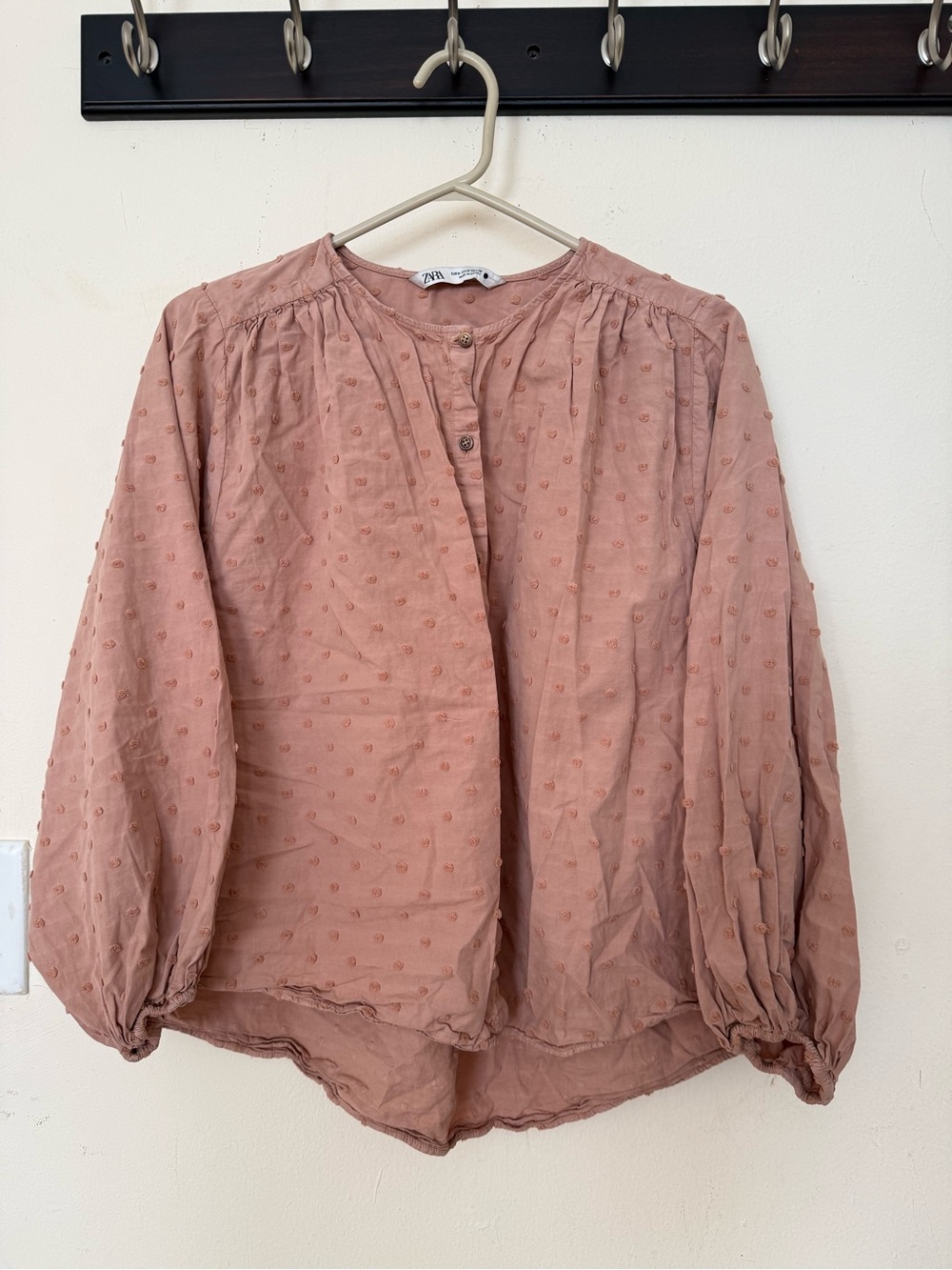 Zara Mauve Swiss Dot Button-Up Peasant Blouse